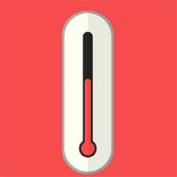 1. Warm-blooded