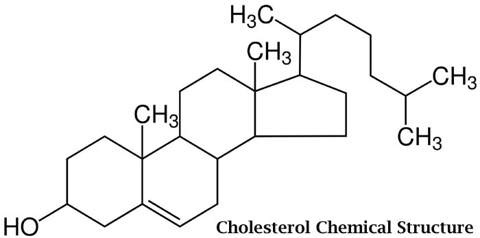Cholesterol Chemical Structure Cholesterol Chemical Structure