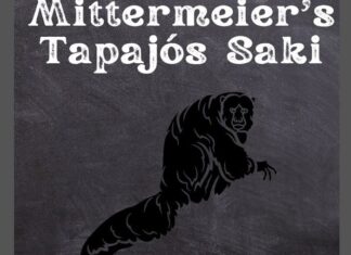 Mittermeier’s Tapajós Saki