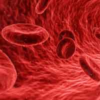 Pathology