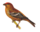 icône décorative